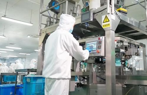 江蘇 它經(jīng)濟 崛起,萌寵引領(lǐng)產(chǎn)業(yè)新藍海