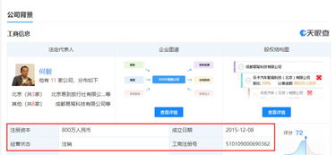成都易駕注銷背后 樂視汽車生態(tài)調(diào)整與行業(yè)變局